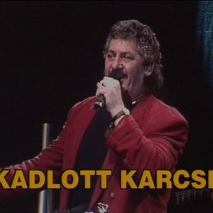 Kadlott Karcsi 的头像
