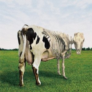 Atom Heart Mother Is On The Edge