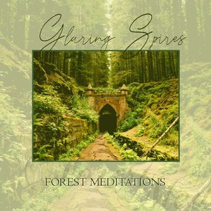 Image for 'Forest Meditations'
