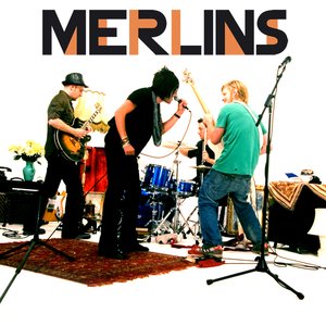 Merlins 的头像