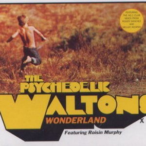 Avatar for The psychedelic waltons ft. roisin murphy