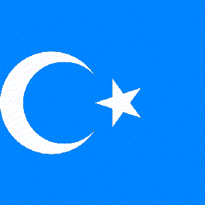 “Turkistan”的封面