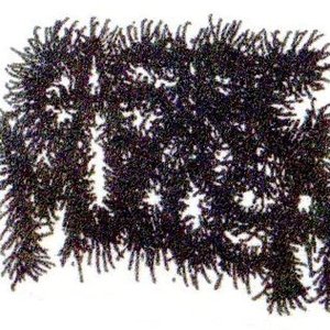 Gastric Mucosa 的头像