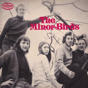 The Minor Birds
