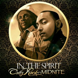 In the Spirit (feat. Midnite)
