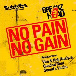 No Pain No Gain