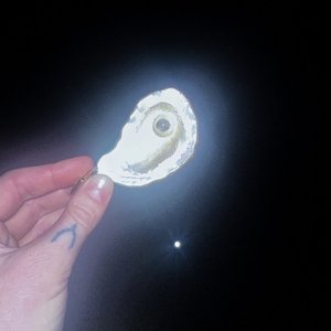 Cancer Moon - Single