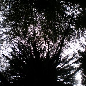 “Smet”的封面