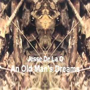 An Old Man's Dreams