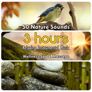 50 Nature Sounds: 3 Hours Relaxing Instrumental Music for Welness Spa & Massage