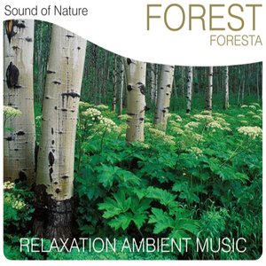 Forest (Foresta)