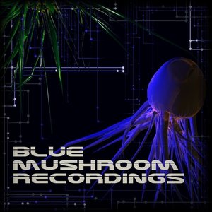 Avatar for Blue Mushroom Recordings