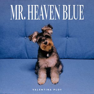 Mr. Heaven Blue