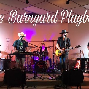 Awatar dla Barnyard Playboys