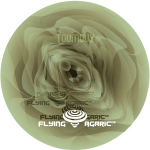 Flying Agaric 08