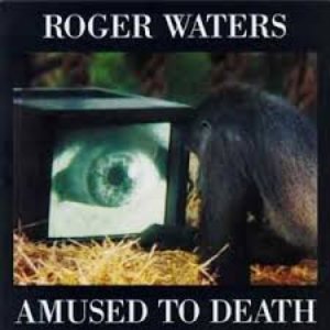 Amused to Death [Explicit]