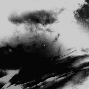 lieven joost 的头像