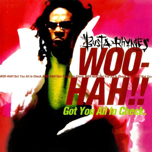 Busta Rhymes - Woo Haa!! Got You All in Check Lyrics - Zortam Music