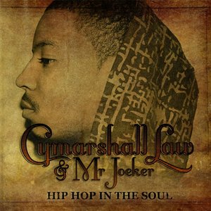 Hip Hop In the Soul