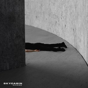 Shame - Single