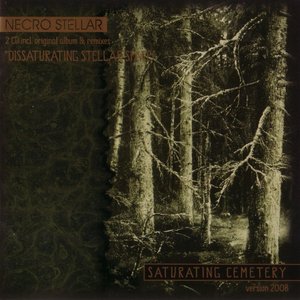 Saturating Cemetery (Version 2008)