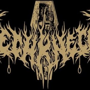 Avatar de Siechknecht