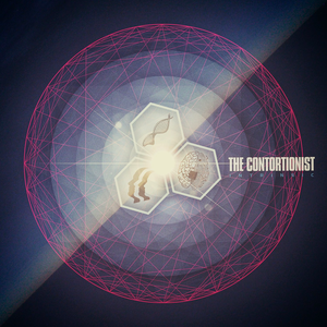 The Contortionist - Causality Lyrics - Zortam Music