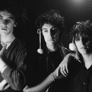 Avatar for Opera Multi Steel