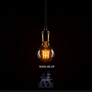 Wake Me Up