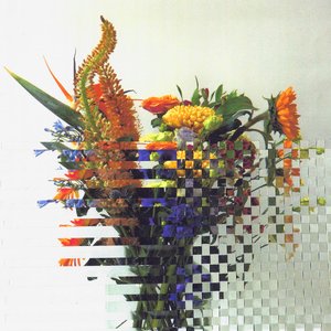 Alles Wat Ik Zoek (Radio Edit)