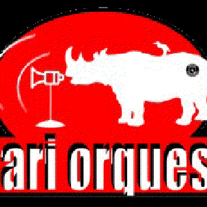 Аватар для Safari Orquestra