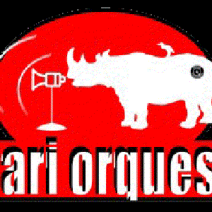Safari Orquestra 的头像