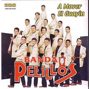 Banda Pelillos - Álbumes y discografía | Last.fm