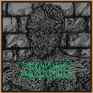Disincarnated / Their Debris Mortals