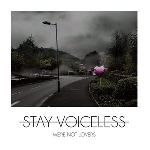 We're Not Lovers - Single