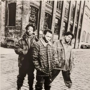 Avatar de Trends of Culture