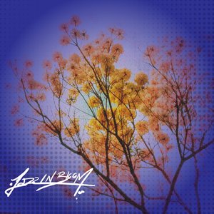 Jazz in Bloom