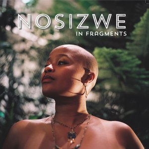 In Fragments