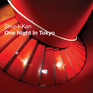 One Night In Tokyo