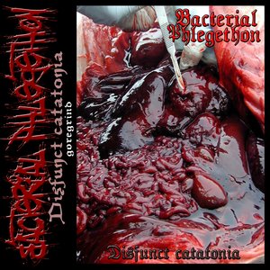 BACTERIAL PHLEGETHON 的头像