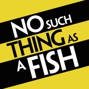 Image for 'No Such Thing As A Fish'
