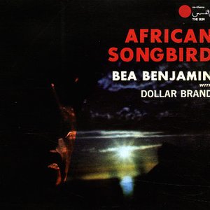 African Songbird