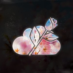 Sky Roses 的头像