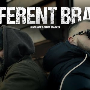 Bubba Sparxxx & JamWayne 的头像