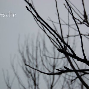 Výnterache 的头像