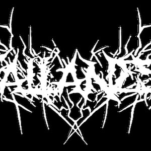 Fallaness 的头像