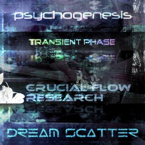 Transient Phase