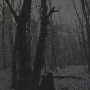 Awatar dla Nocturnal Depression