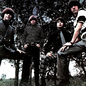 The Standells için avatar