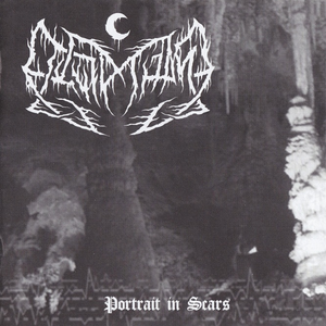 Totentanz II / Portrait in Scars cover